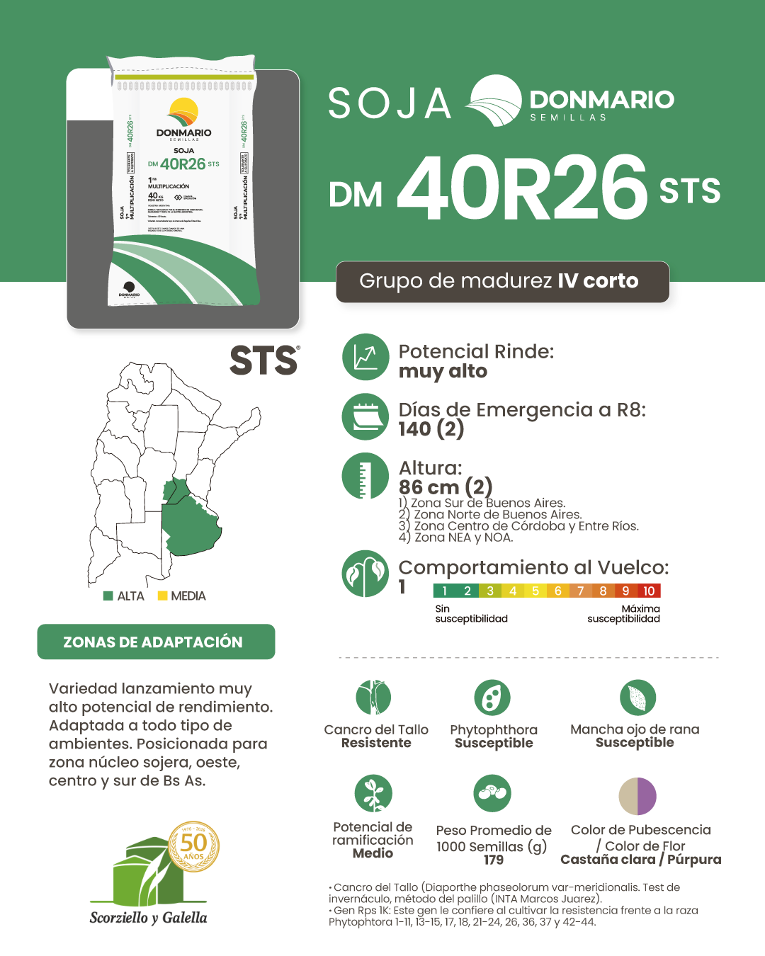 DONMARIO DM 40R26 STS