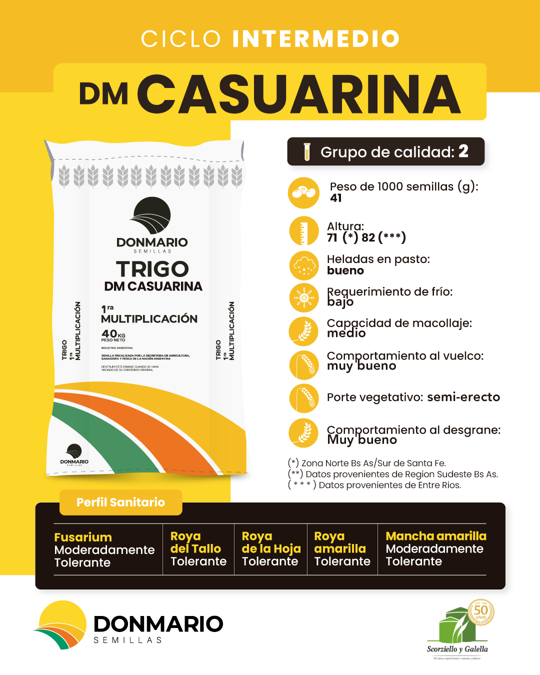 Dm CASUARINA