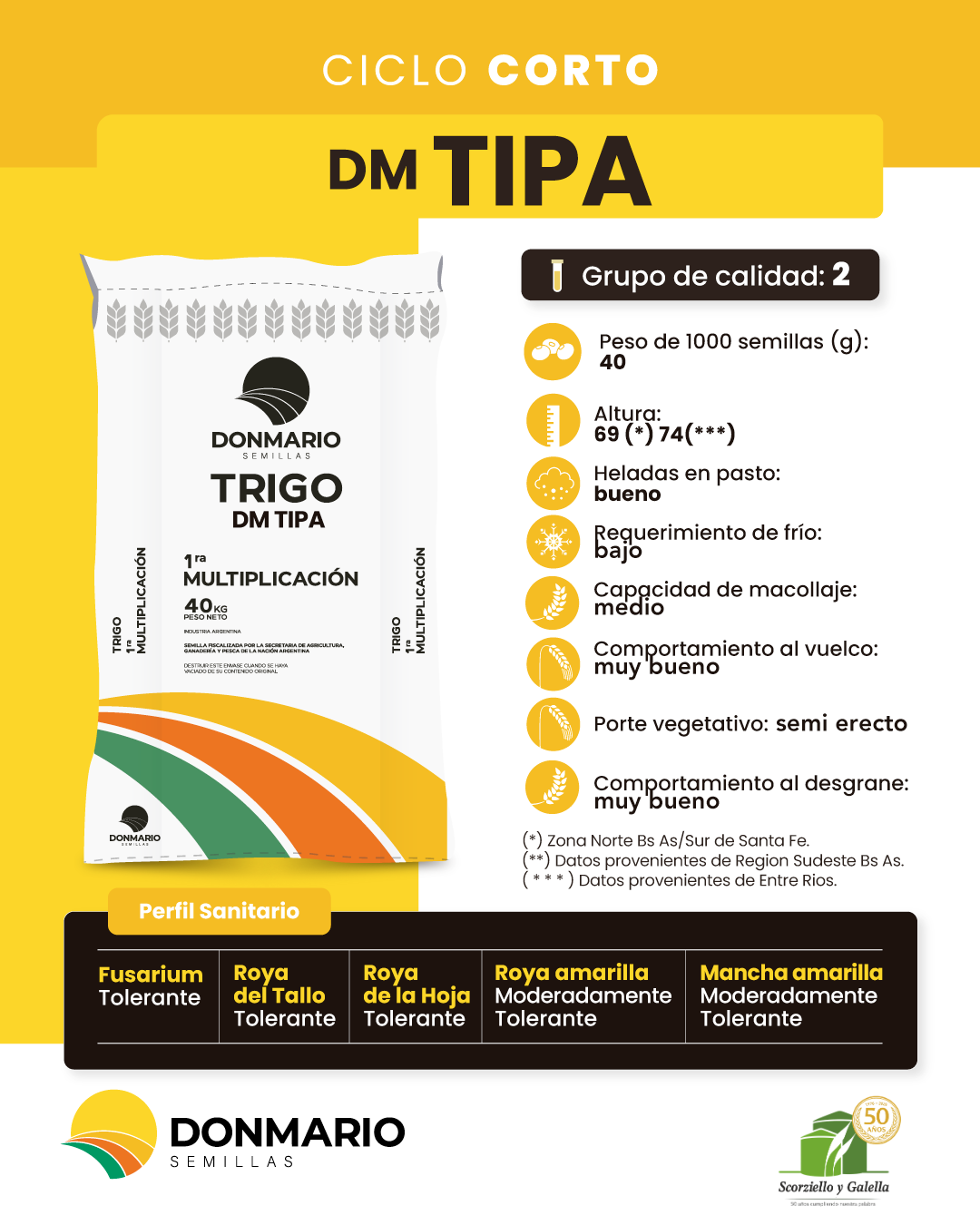 Dm TIPA