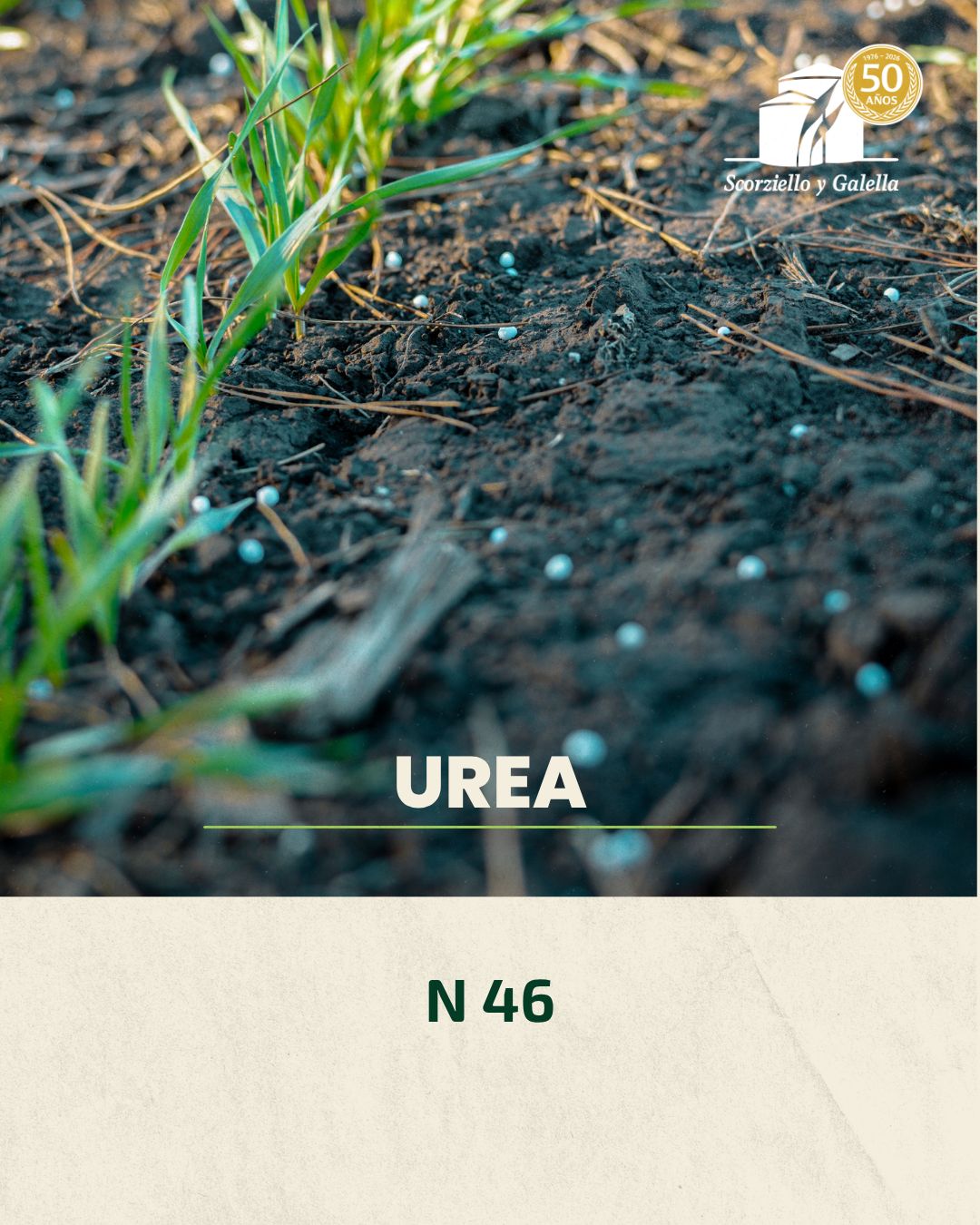 UREA