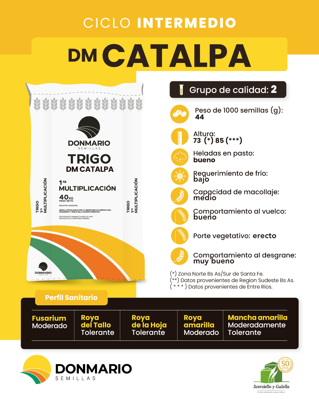 Dm CATALPA