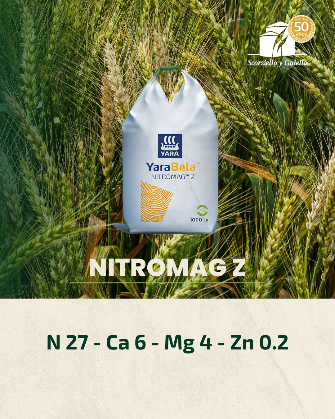 NITROMAG Z